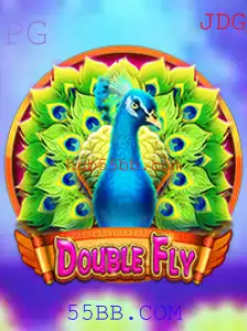 Descubra o Mundo de DoubleFly: Um Mergulho no Dinâmico Jogo Inspirado em 55BB.COM